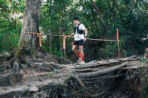 BIB: 
                            <button type="button" onclick="openModal(27308384)" class="btn btn-primary btn-sm float-right btn-popup" data-toggle="modal" data-target=".modal-high-quality">
                        <i class="fas fa-shopping-cart"></i> Add to Cart
                    </button>
                                            <button type="button" onclick="isThisMe(27308384, true)" class="btn btn-success btn-sm float-right btn-popup btn-isme hidden" data-toggle="tooltip" data-placement="bottom" title="นี่คือรูปของคุณใช่ไหม คลิกที่นี่เพื่อเอาเข้าอัลบั้ม">
                        <i class="fas fa-plus"></i> Add to album
                    </button>
                    <button type="button" onclick="isThisMe(27308384, false)" class="btn btn-warning btn-sm float-right btn-popup btn-isnotme hidden">
                        <i class="fas fa-ban"></i> Remove from album
                    </button>